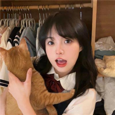 猫狗大战2：珍珠猫复仇